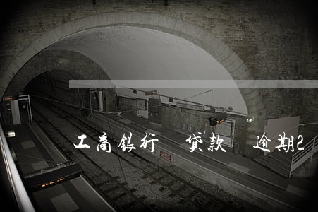 工商银行 贷款 逾期2天 工商银行 贷款 逾期2天